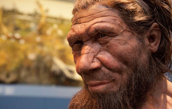 myths-neanderthals