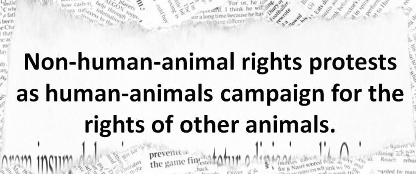 rights animals